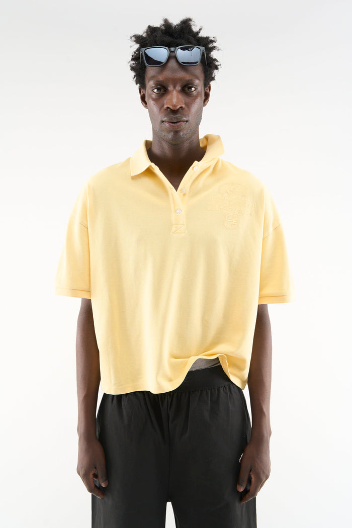 Polo amarillo del sur de Europa